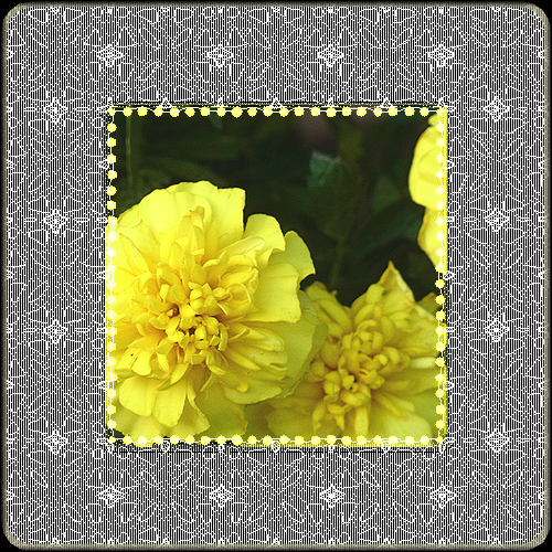 b0133752_23545228.png