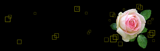 b0133752_8351327.gif