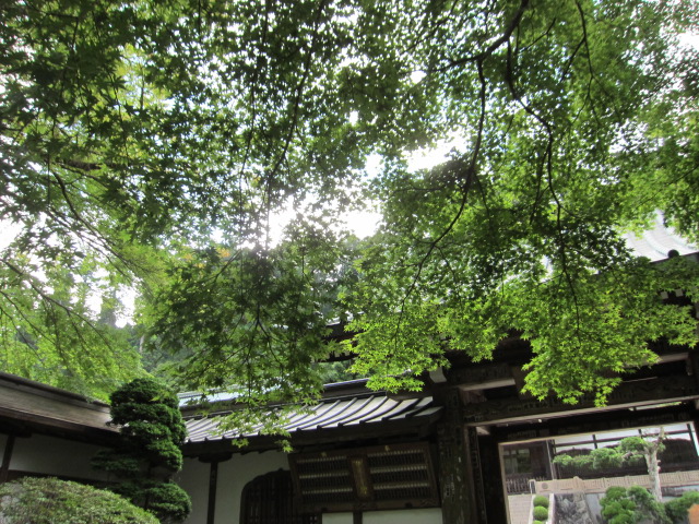 c0220154_1155517.jpg