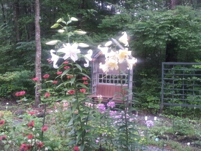 e0088260_2113298.jpg