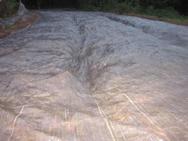 e0181260_52920100.jpg