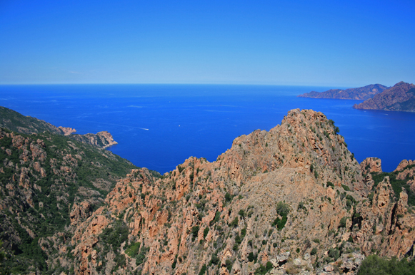 b0120269_6572225.jpg