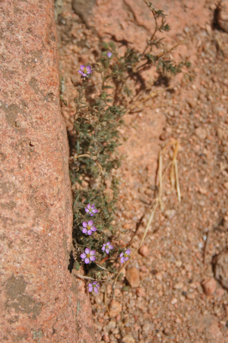 b0120269_733243.jpg
