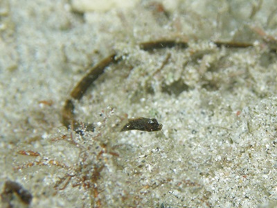 b0033573_16085674.jpg