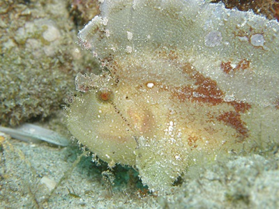 b0033573_16090264.jpg