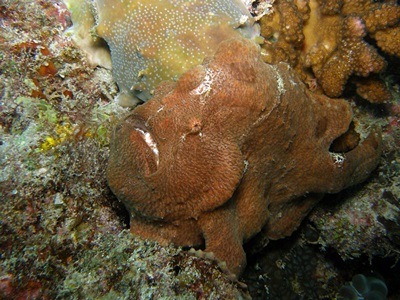 b0033573_16091146.jpg