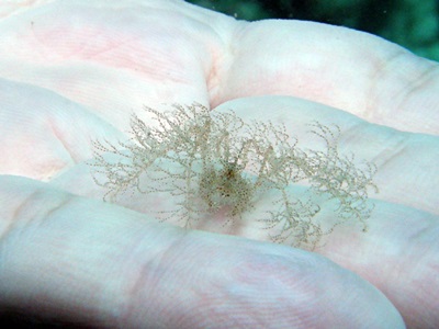 b0033573_16092570.jpg