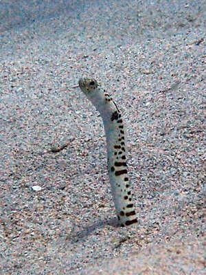 b0033573_16473889.jpg