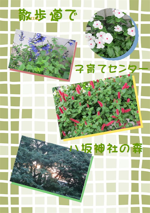 f0003174_13283482.jpg