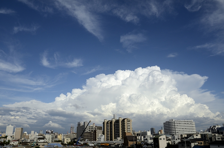f0108478_10505528.jpg