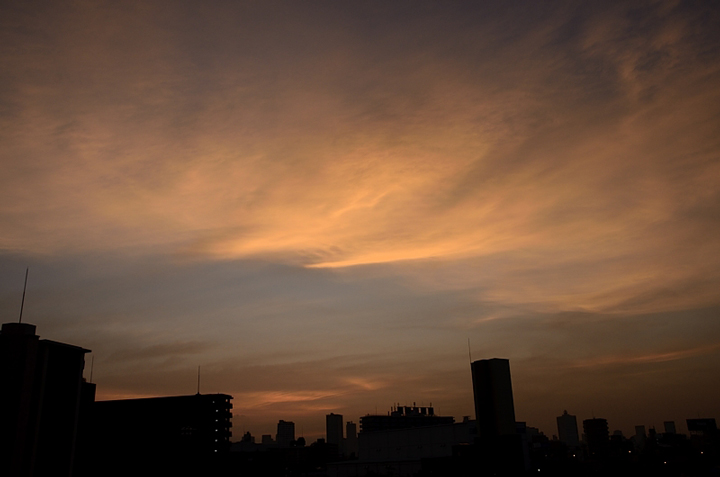 f0108478_1052968.jpg