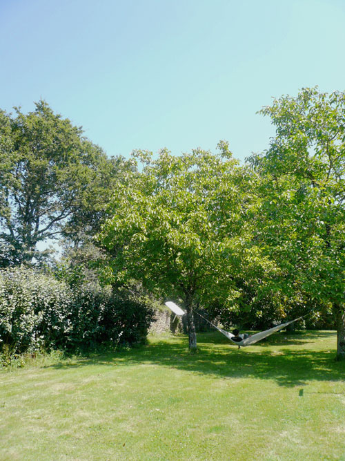 e0110281_1657333.jpg