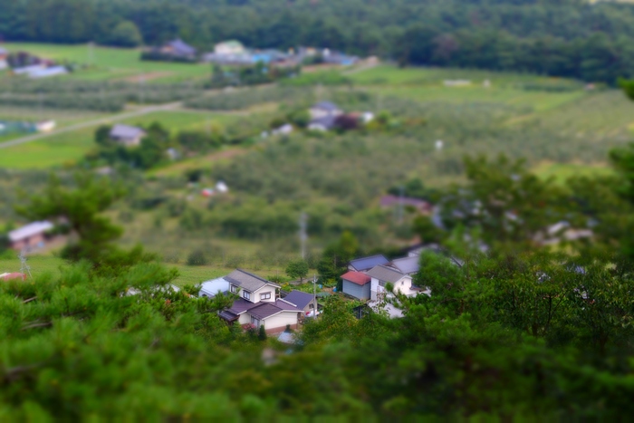 c0246290_0391023.jpg