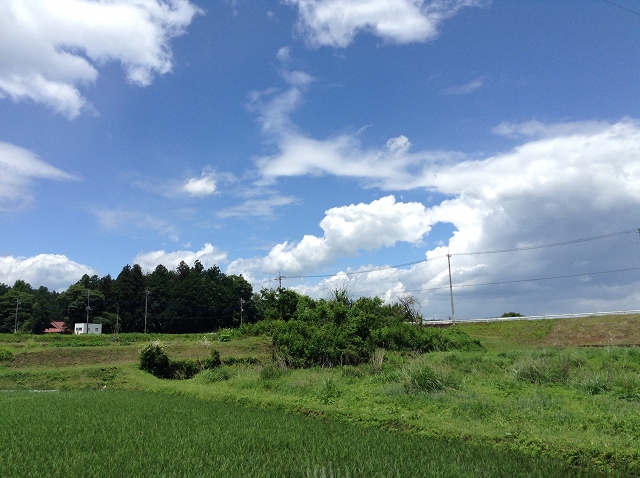 c0035094_17502548.jpg