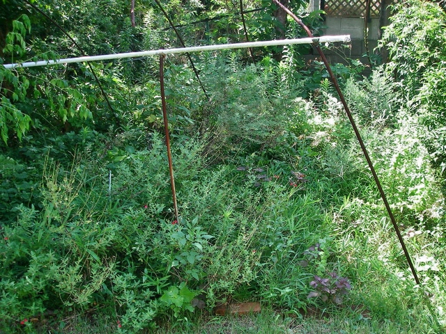 d0046294_11142411.jpg