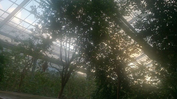 b0028299_20565457.jpg