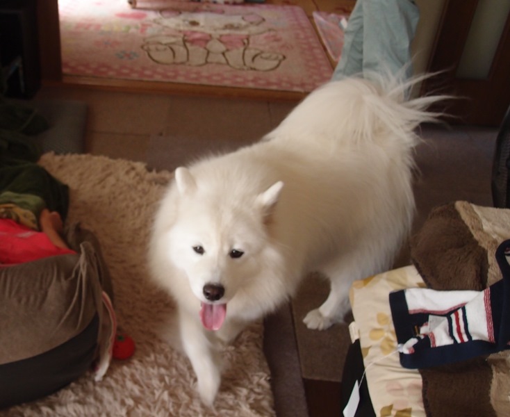 e0018604_20131619.jpg