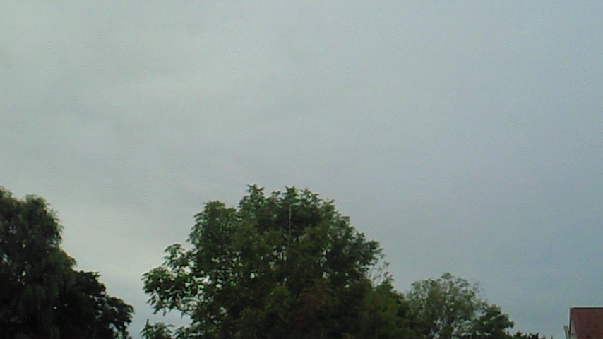 d0149105_6493246.jpg