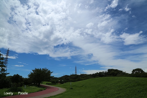 d0257606_17493225.jpg