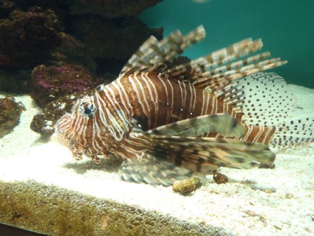 f0113108_1139529.jpg