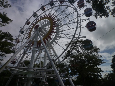 f0031420_8353545.jpg