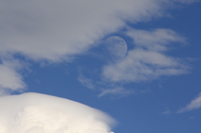 e0242721_943732.jpg