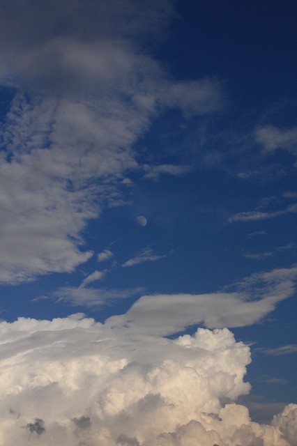 e0242721_951215.jpg