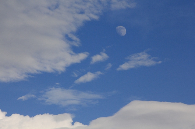 e0242721_953349.jpg