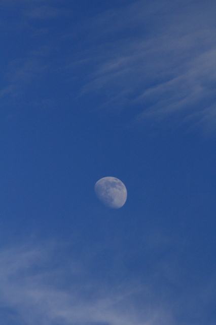 e0242721_984298.jpg