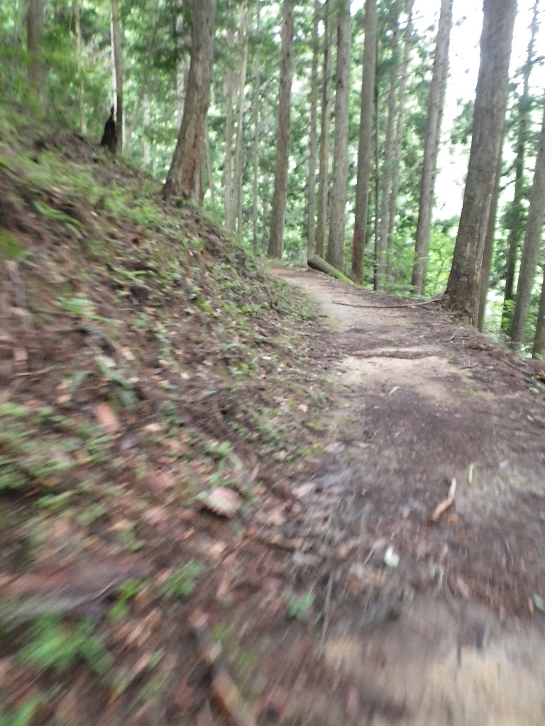 c0189724_17141869.jpg