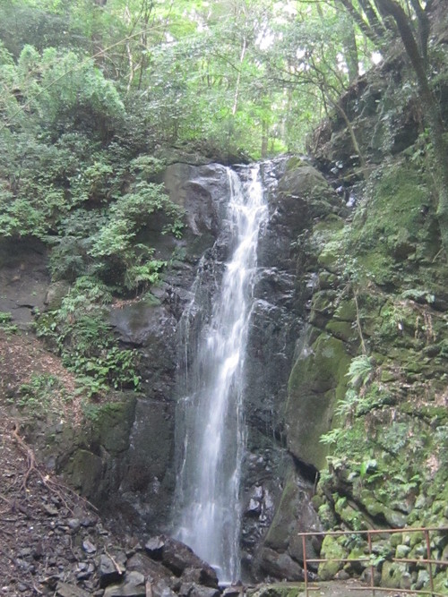 d0162225_21221655.jpg