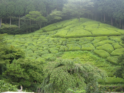 d0162225_21423361.jpg