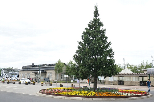 f0037227_22224983.jpg