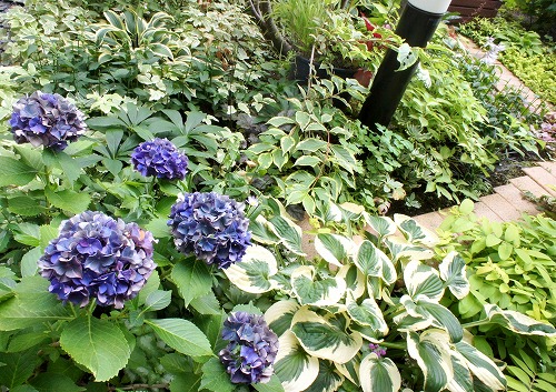 f0205733_16002068.jpg