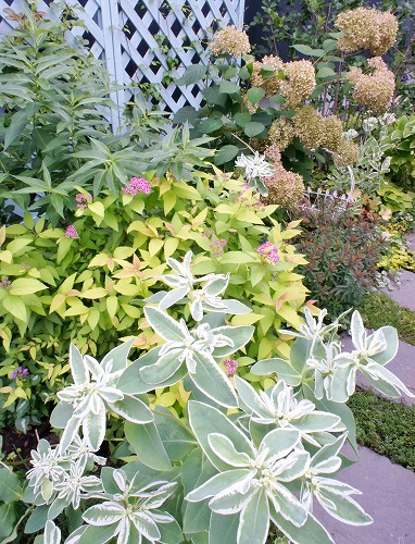 f0205733_16110676.jpg