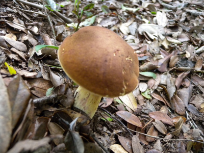 e0272335_17552436.jpg