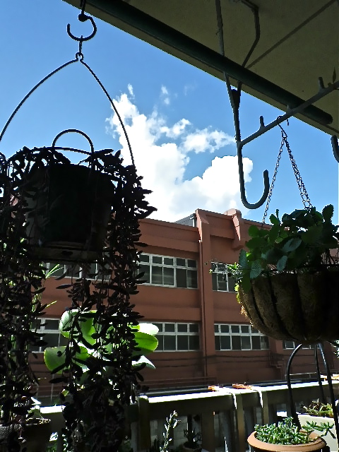 b0027736_11485374.jpg