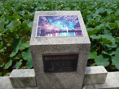 c0191138_22263164.jpg