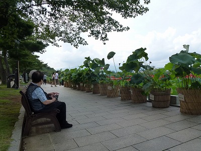 c0191138_22334226.jpg