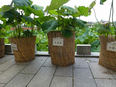 c0191138_2235513.jpg