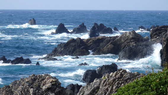 d0218056_11453885.jpg