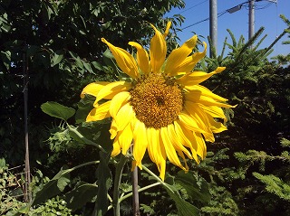 e0004756_21175092.jpg