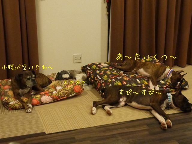 f0177261_1052481.jpg