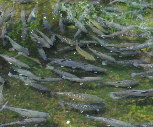 b0304662_17395330.jpg