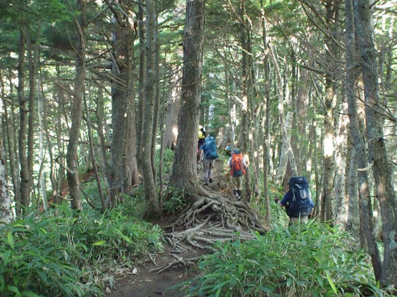 c0321967_6371454.jpg