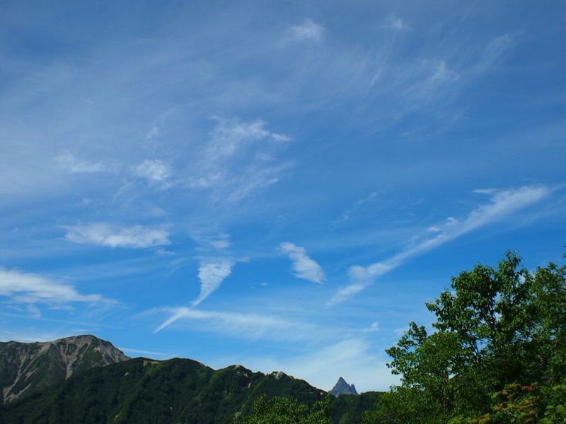 c0321967_6373586.jpg