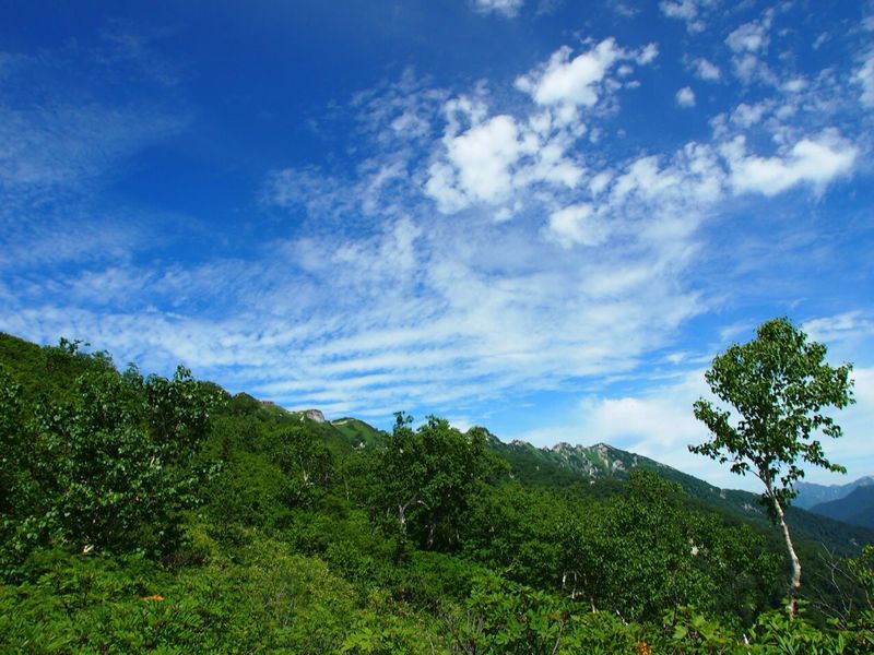 c0321967_6374081.jpg