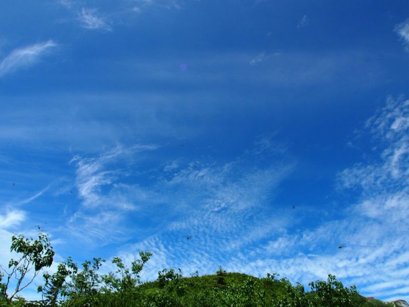 c0321967_6374180.jpg