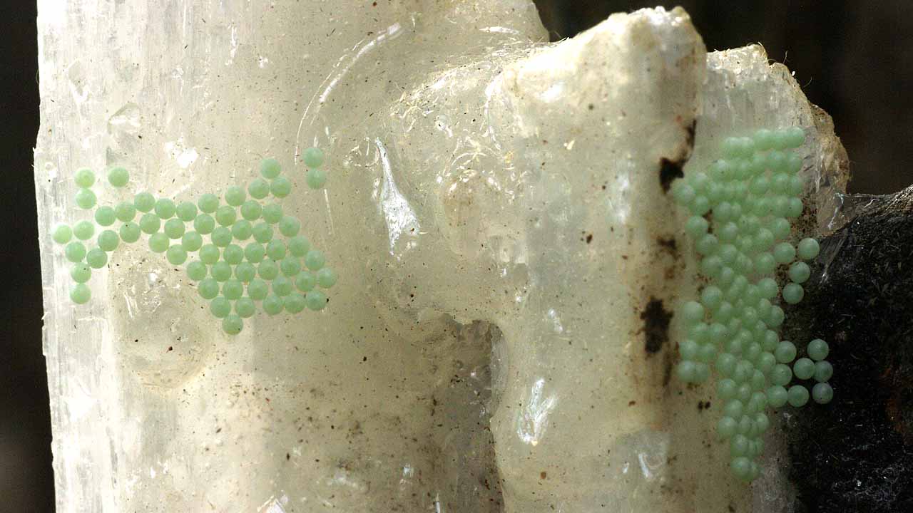 c0068168_9312321.jpg