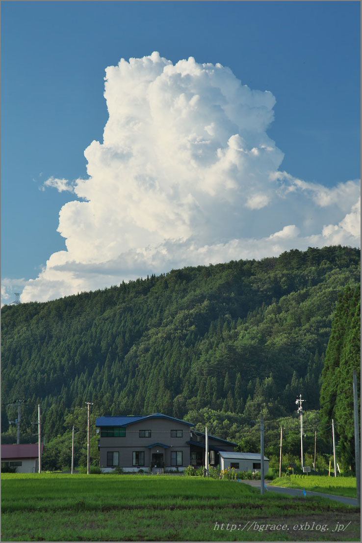 b0191074_864754.jpg